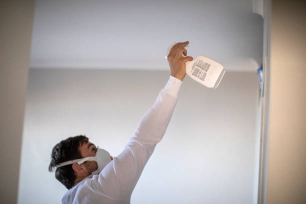 Best Black Mold Remediation in Harbison Nyon, CA