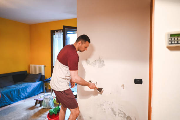 Best Attic Mold Remediation in Harbison Nyon, CA